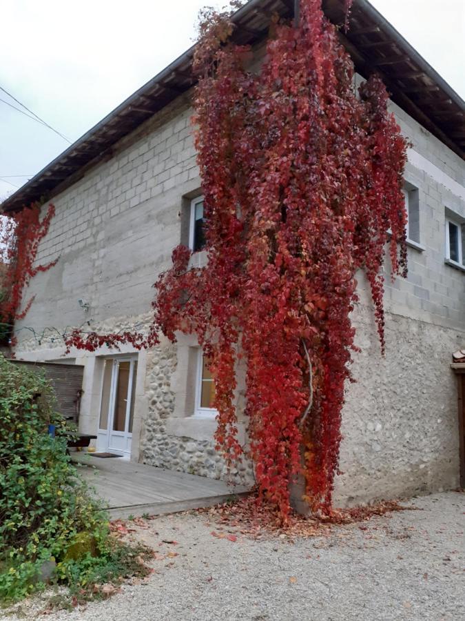 Okami Du Vercors Saint-Laurent-en-Royans Exteriér fotografie